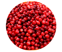 Lingonberry жемістері Prostamin капсулаларында бар, олар ісінуді жеңілдетеді